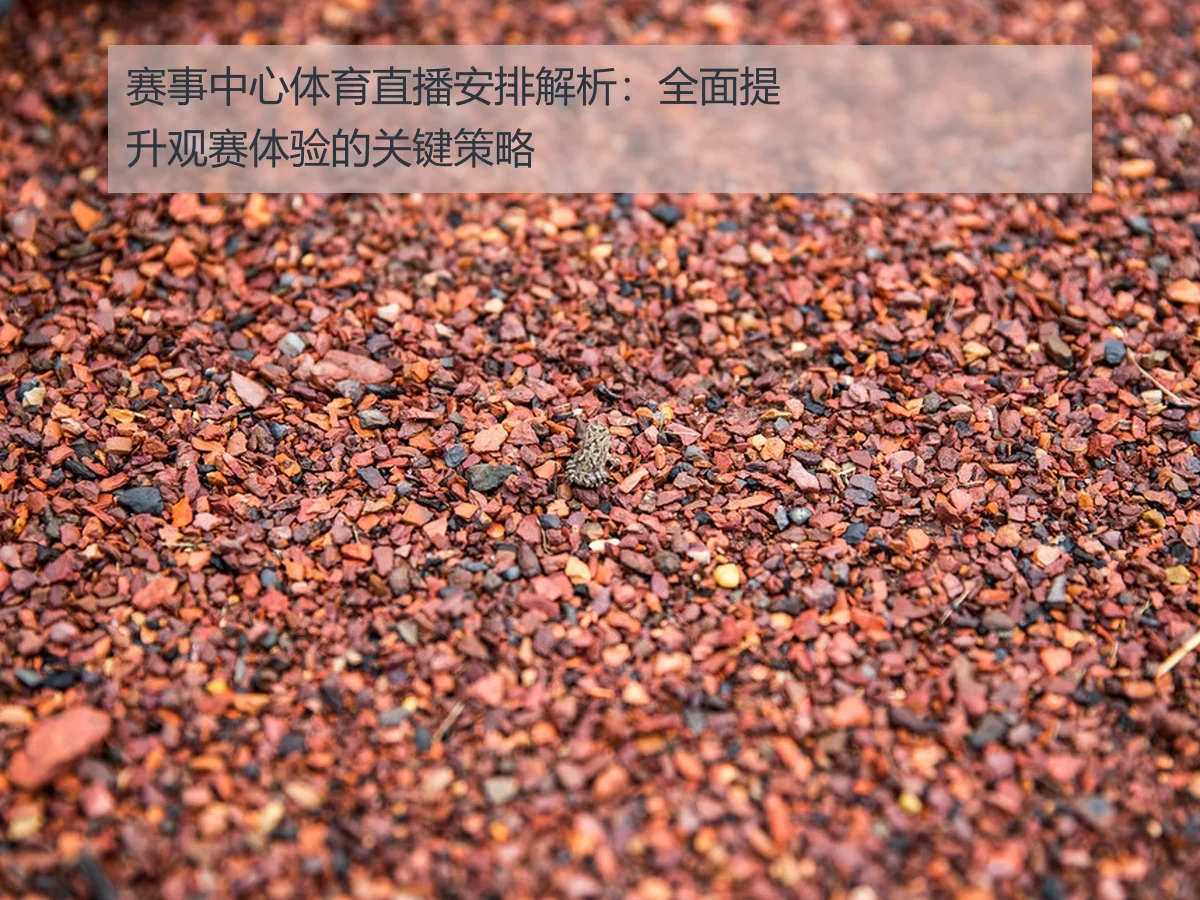 赛事中心体育直播安排解析：全面提升观赛体验的关键策略